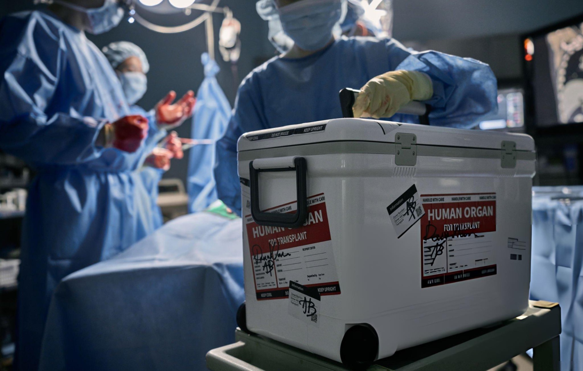 Human organ transport cooler labeled for transplant in the operating room